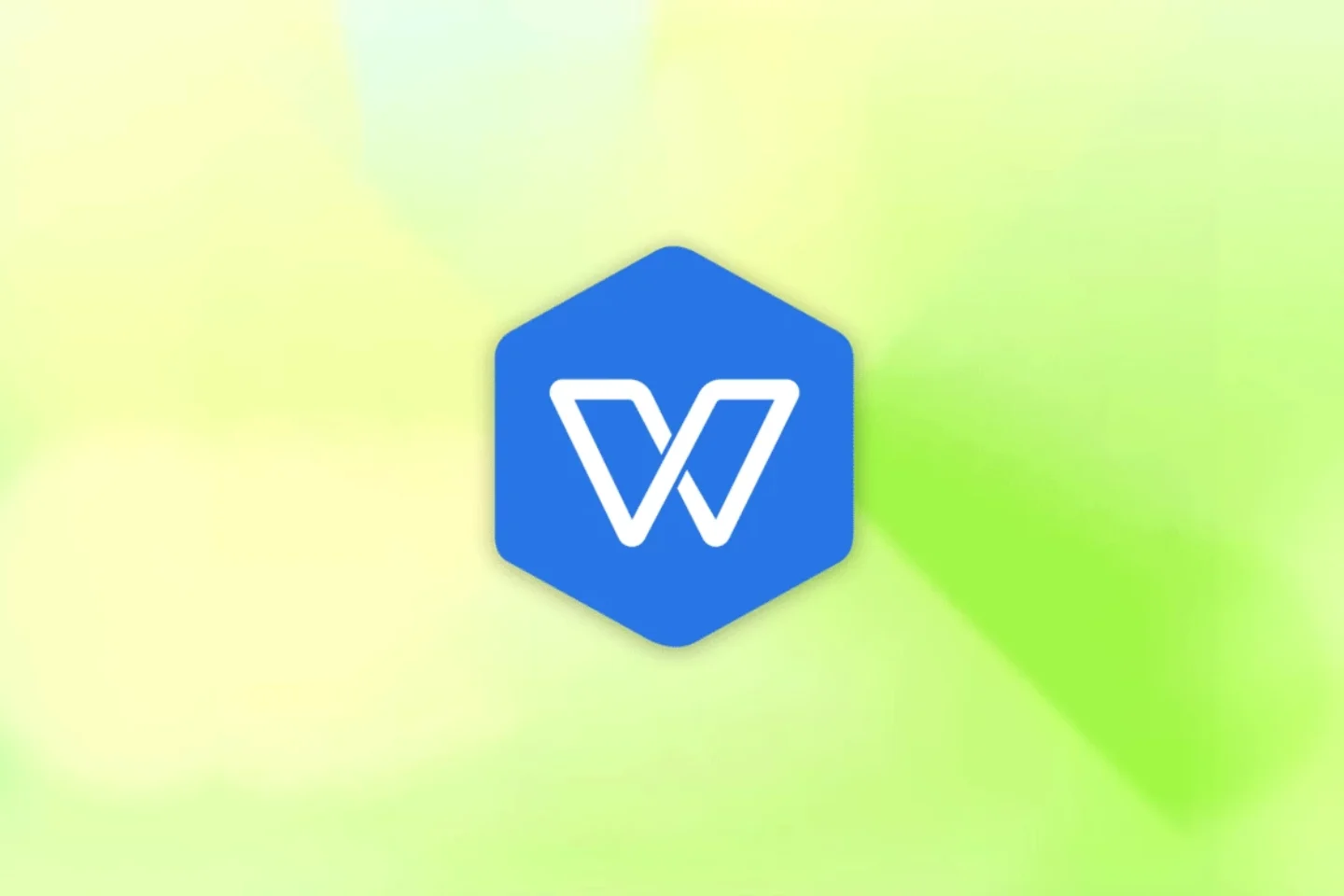 WPS Office 2019 大庆市党政机关专用版