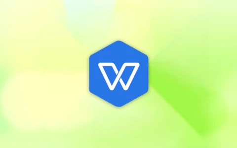 WPS Office 2019 大庆市党政机关专用版