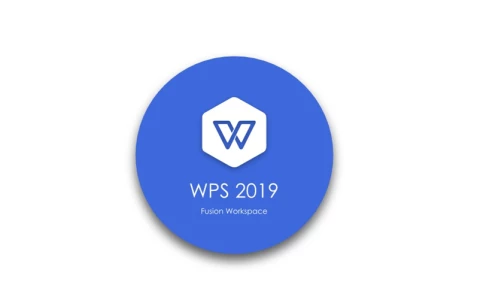 WPS Office 2019 海南省万宁市机关单位专用版