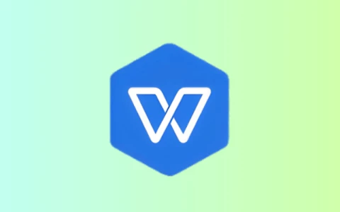 WPS Office 2019儋州市机关单位专业版