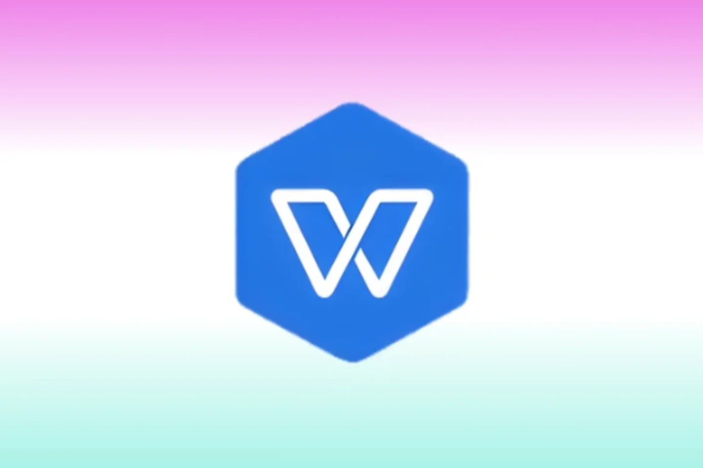 WPS2019洋浦经济开发区机关单位专业版