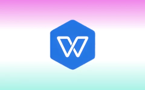 WPS2019洋浦经济开发区机关单位专业版