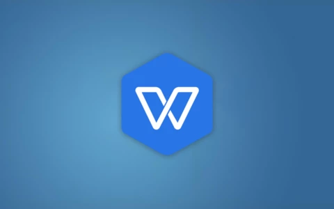 WPS Office 2019 惠州市机关单位版