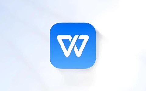 WPS Office 2023(12.8.2.15091)精简绿色专业增强版