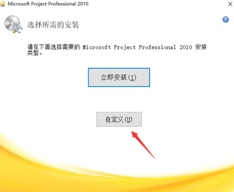 Microsoft Project Professional 2010