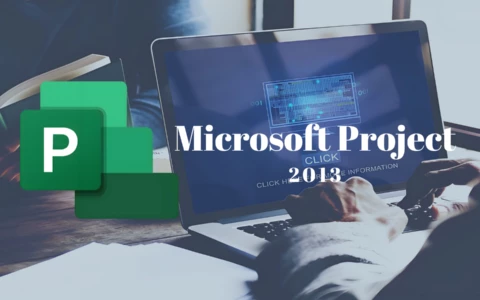 Microsoft Project Professional 2013