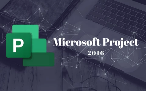 Microsoft Project Professional 2016