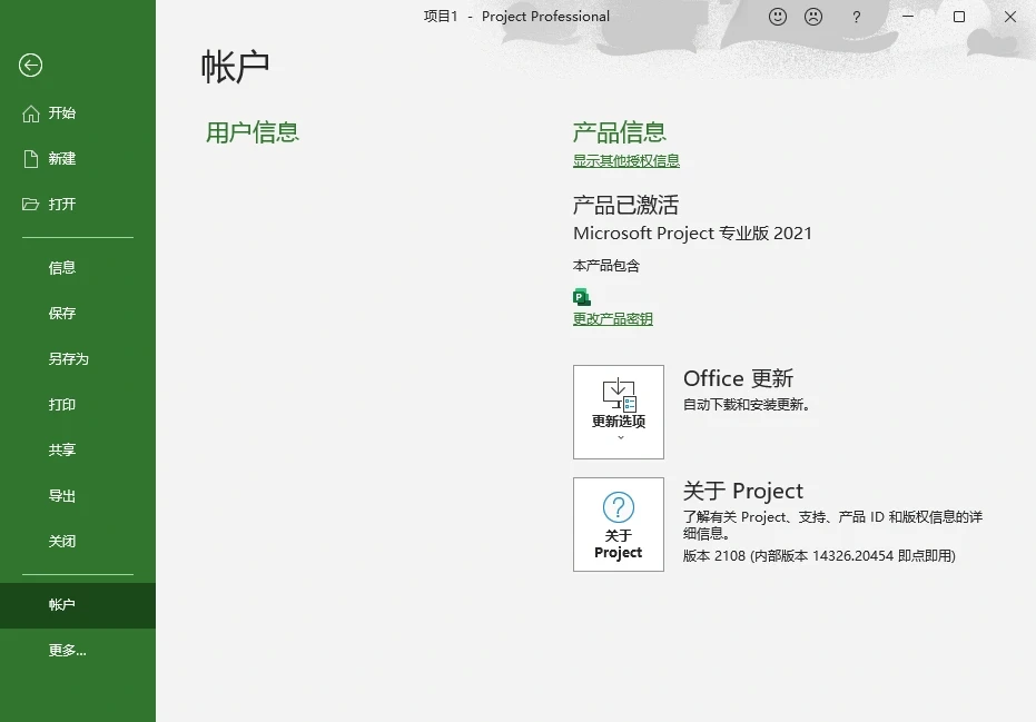 Microsoft Project Professional 2021