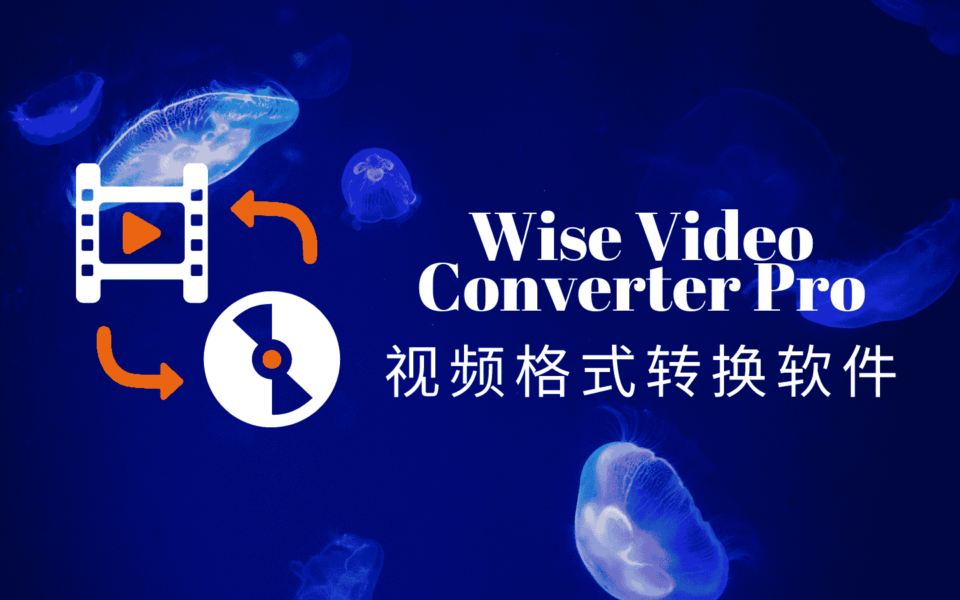 Wise Video Converter Pro：全能视频格式转换与处理神器